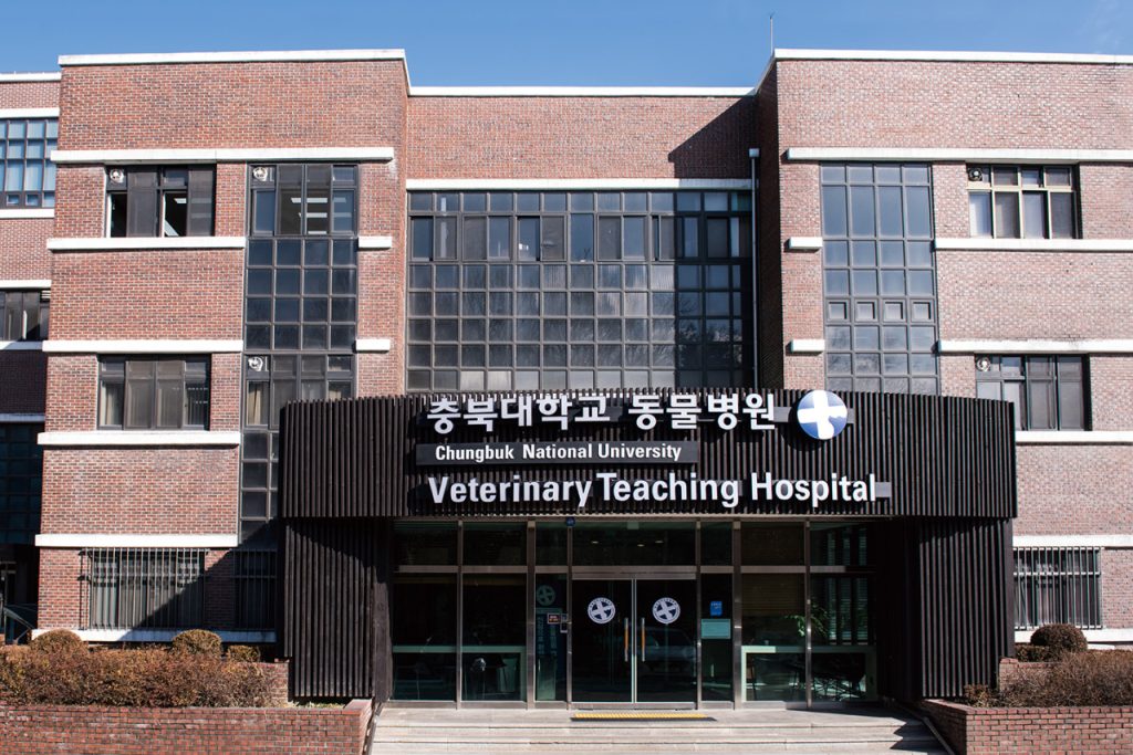 충북대학교 동물병원 사진 1