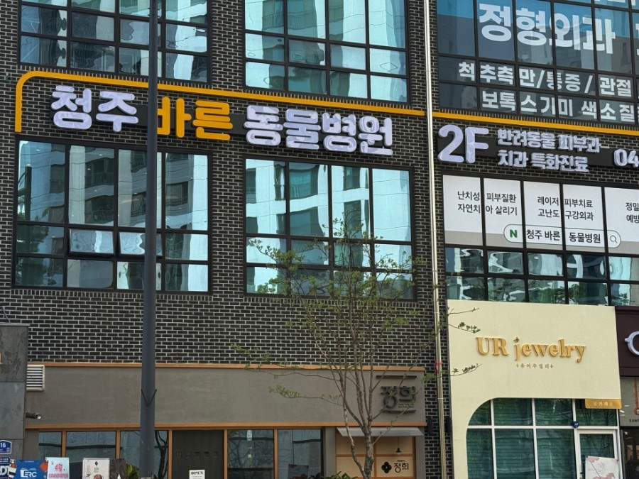 청주바른동물병원 사진 1
