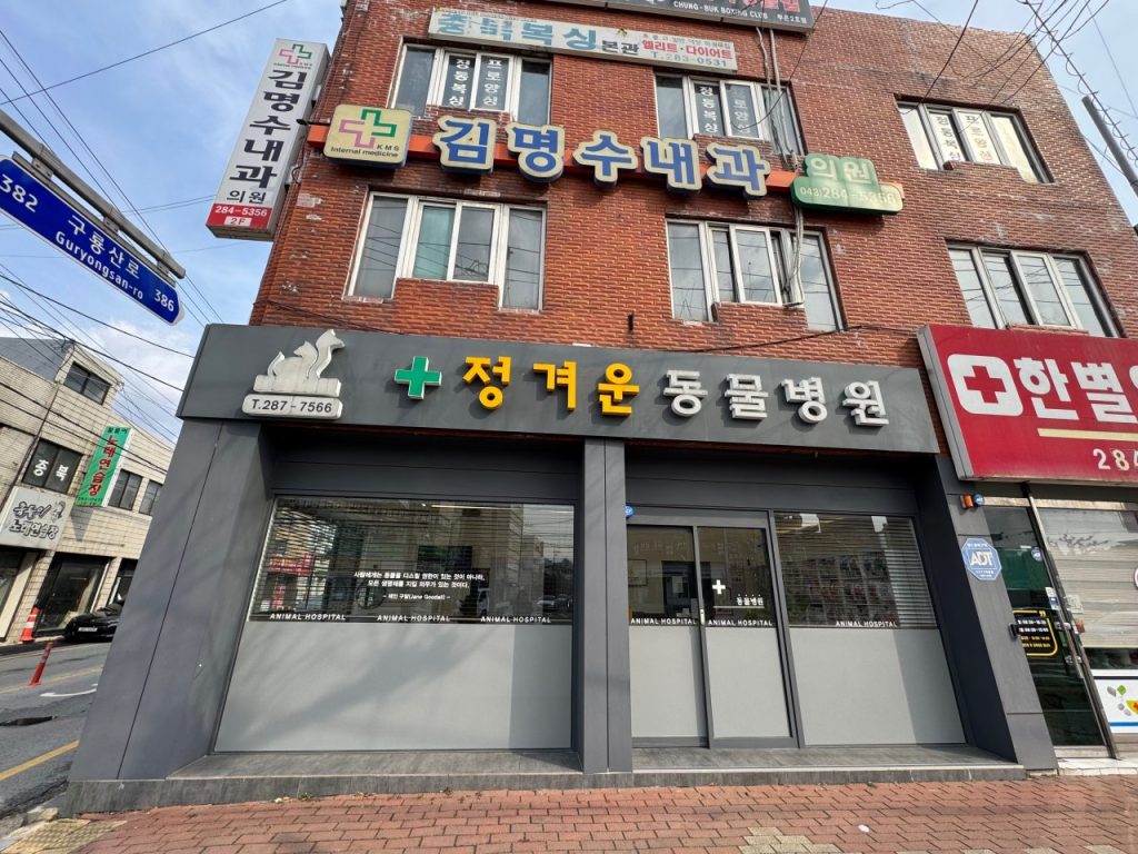 정겨운동물병원 사진 1