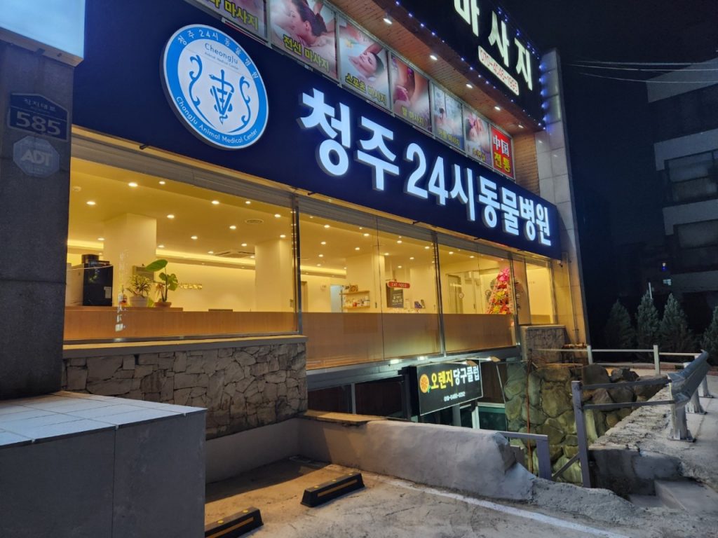 청주24시동물병원 사진 1