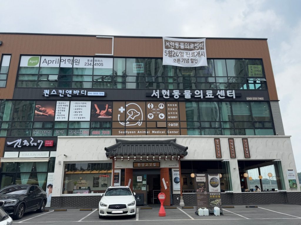 서현동물의료센터 사진 1