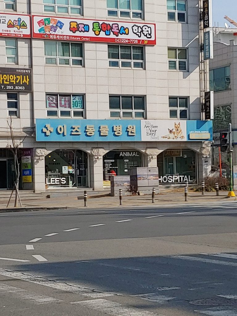 이즈동물병원 사진 1