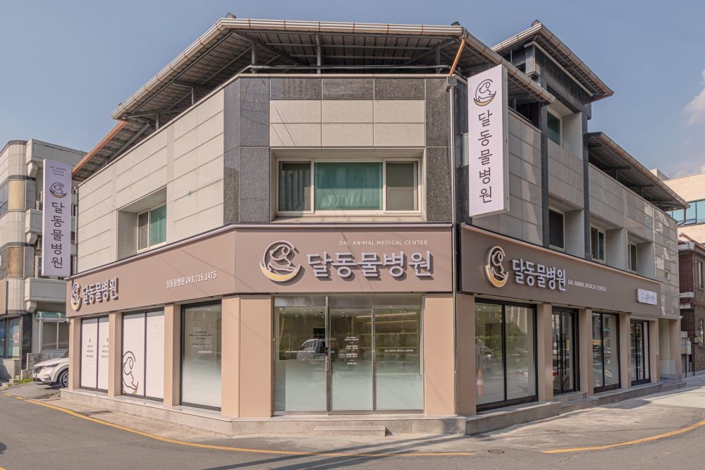 달동물병원 사진 1