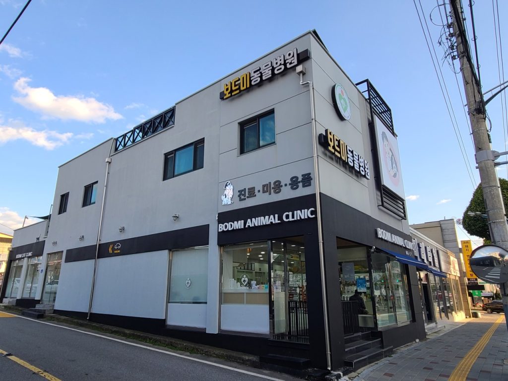 보드미동물병원 사진 1