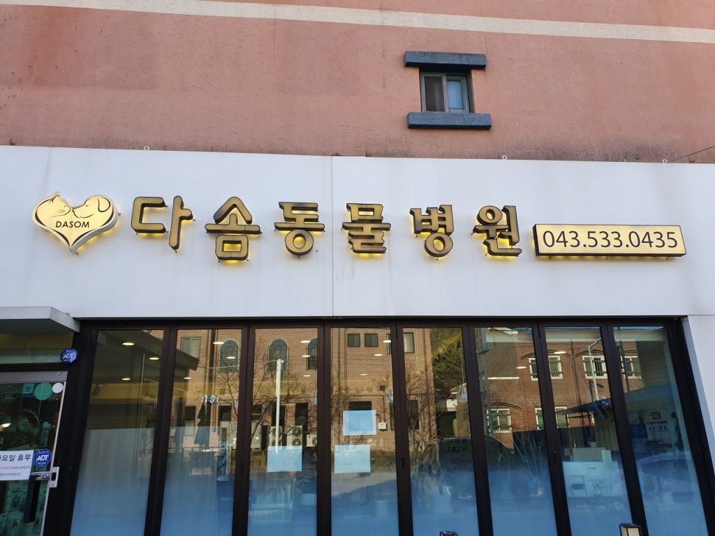 다솜동물병원 사진 1