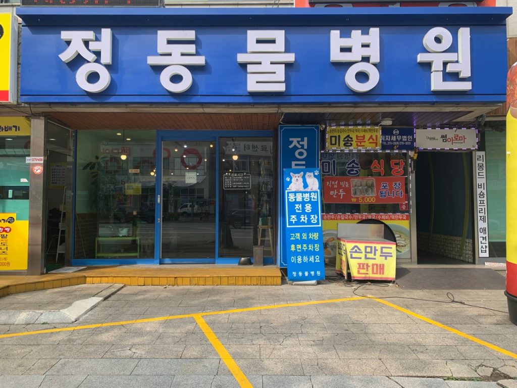 정동물병원 사진 1