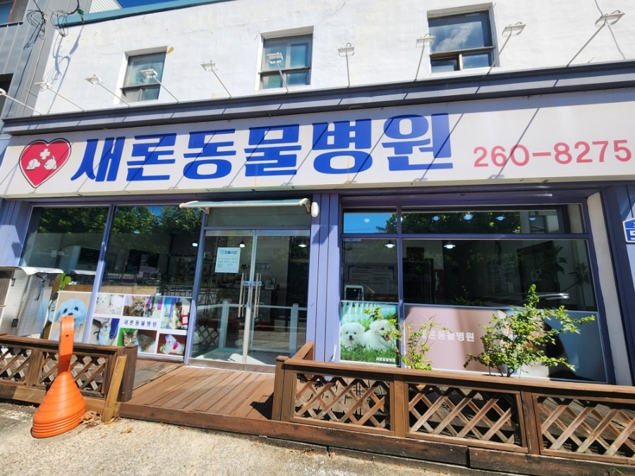 새론동물병원 사진 1