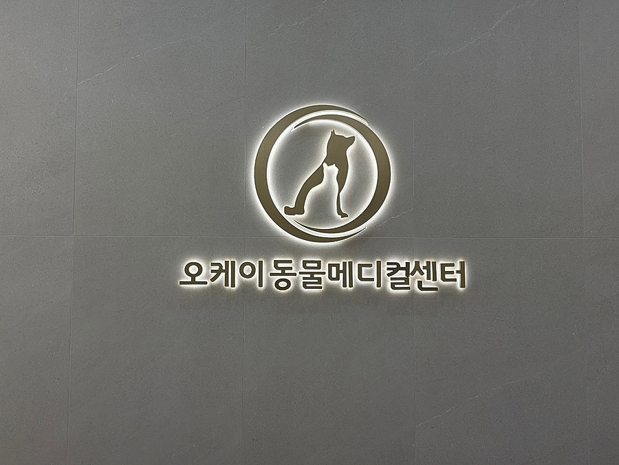 24시송도오케이동물의료센터 사진 1
