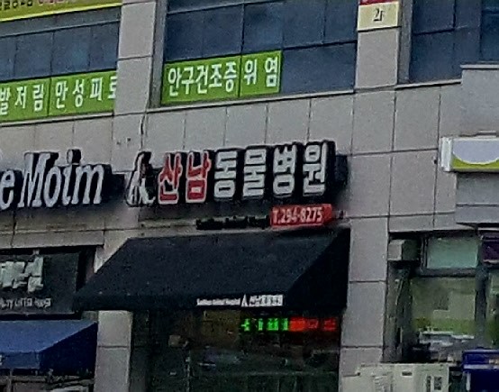 산남동물병원 사진 1