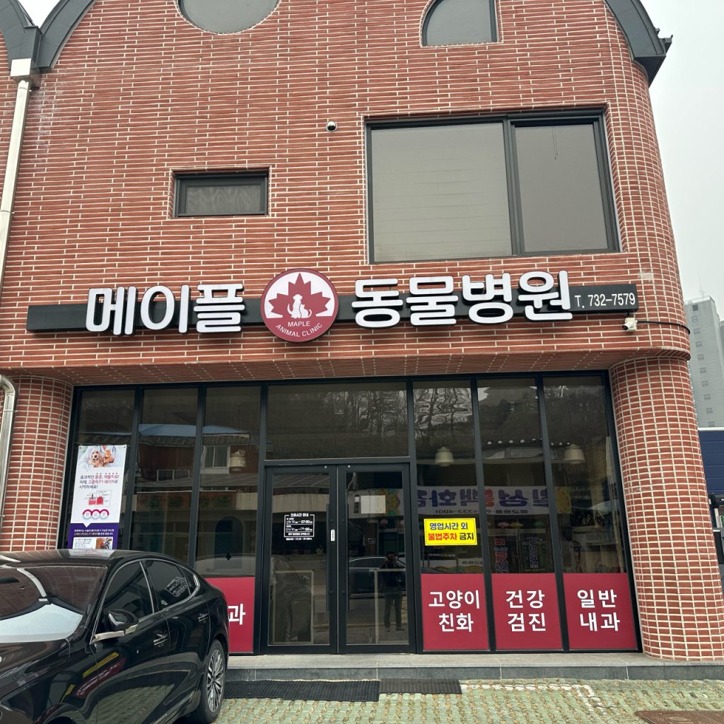 메이플동물병원 사진 1