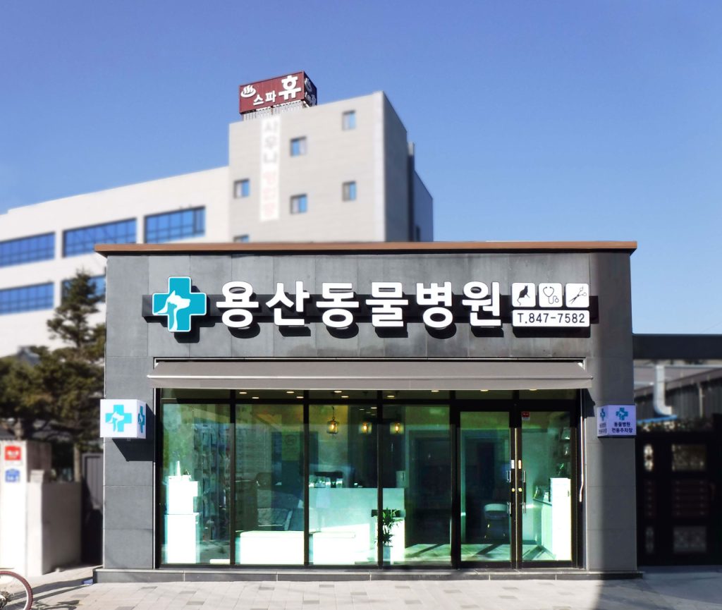 용산동물병원 사진 1