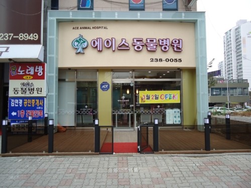 에이스동물병원 사진 1