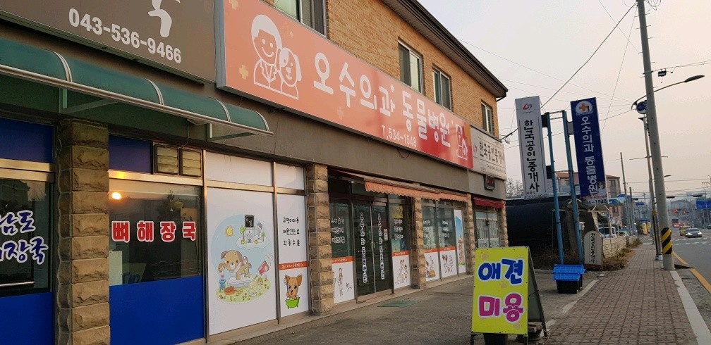 오수의과 동물병원 사진 1