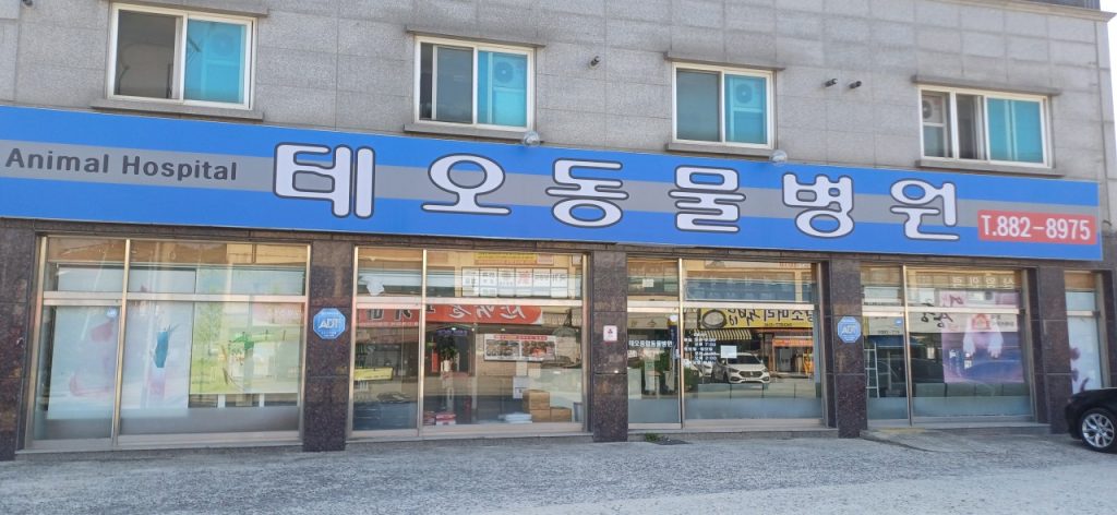 테오동물병원 사진 1