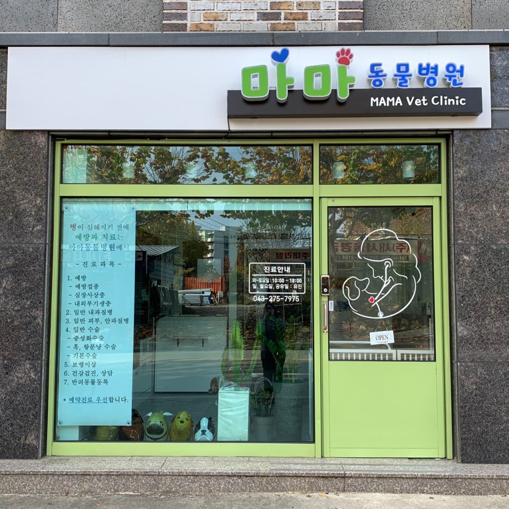 마마동물병원 사진 1