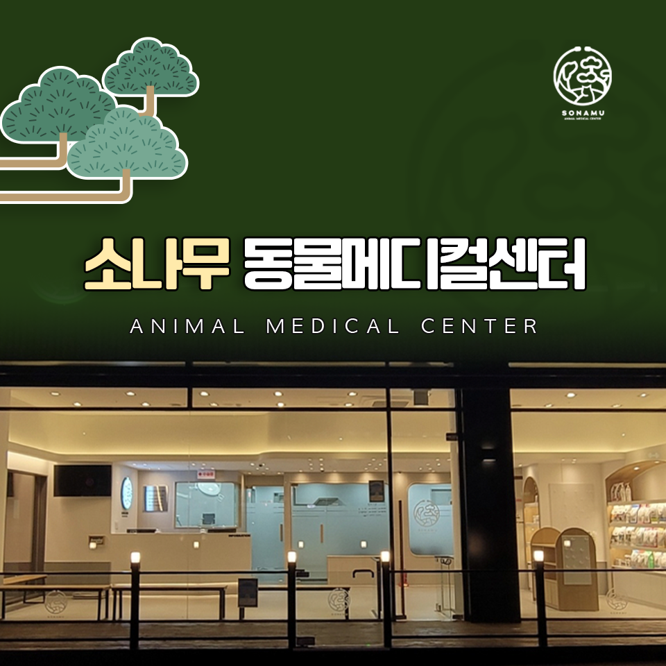 소나무동물메디컬센터 사진 1