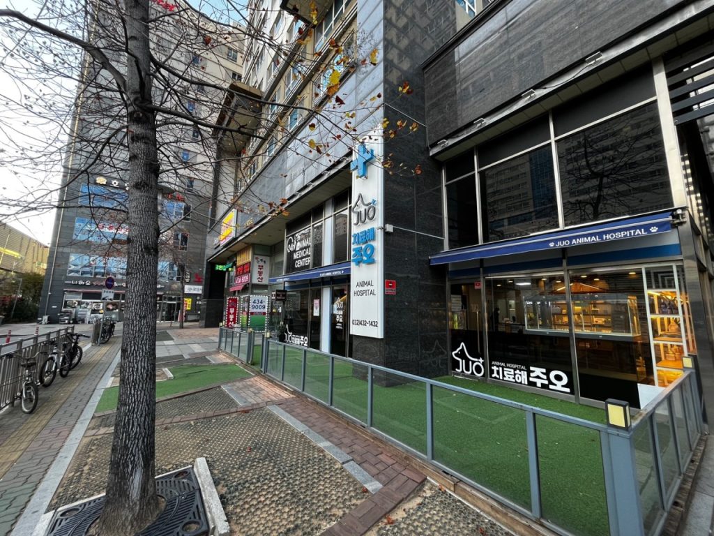 치료해주오 동물병원 인천논현점 사진 1
