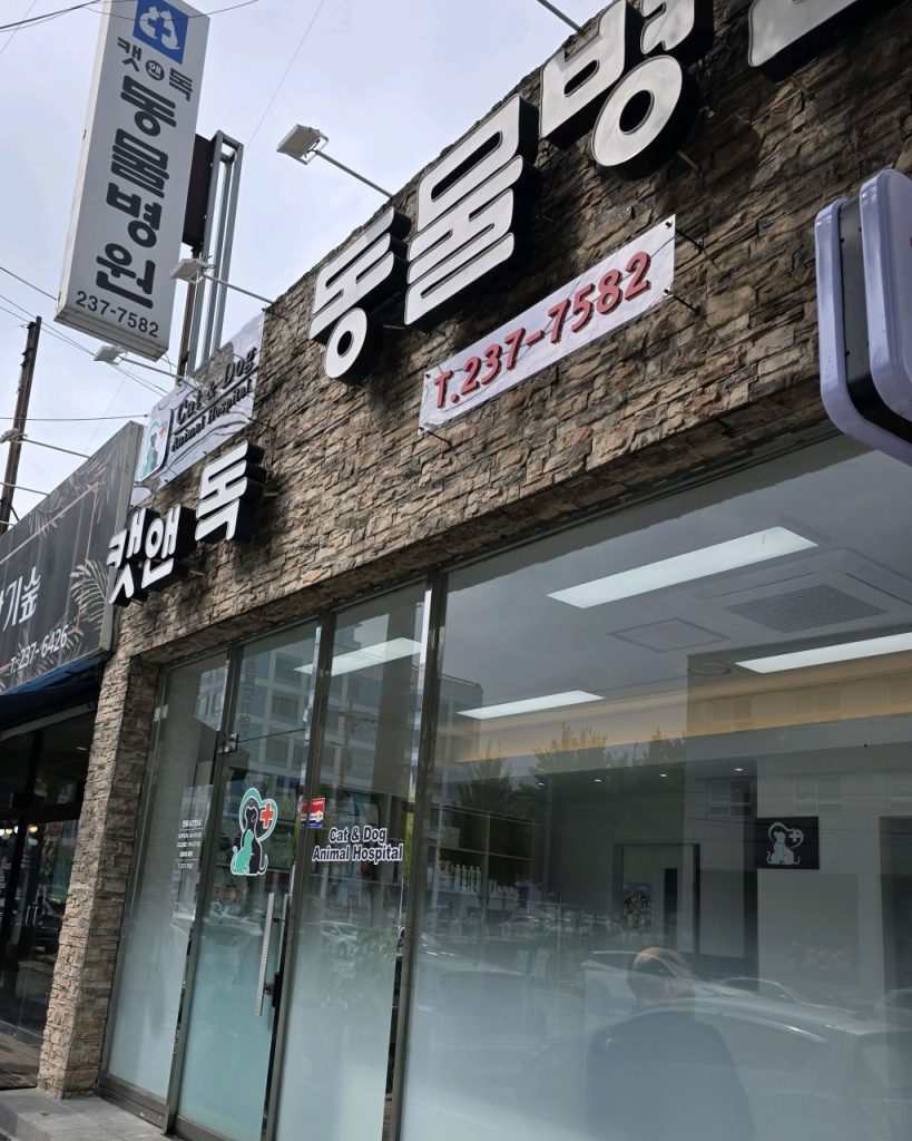 캣앤독 동물병원 사진 1