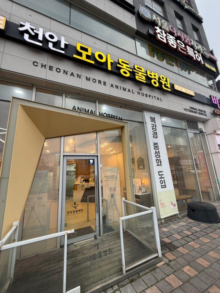 천안모아동물병원 사진 1