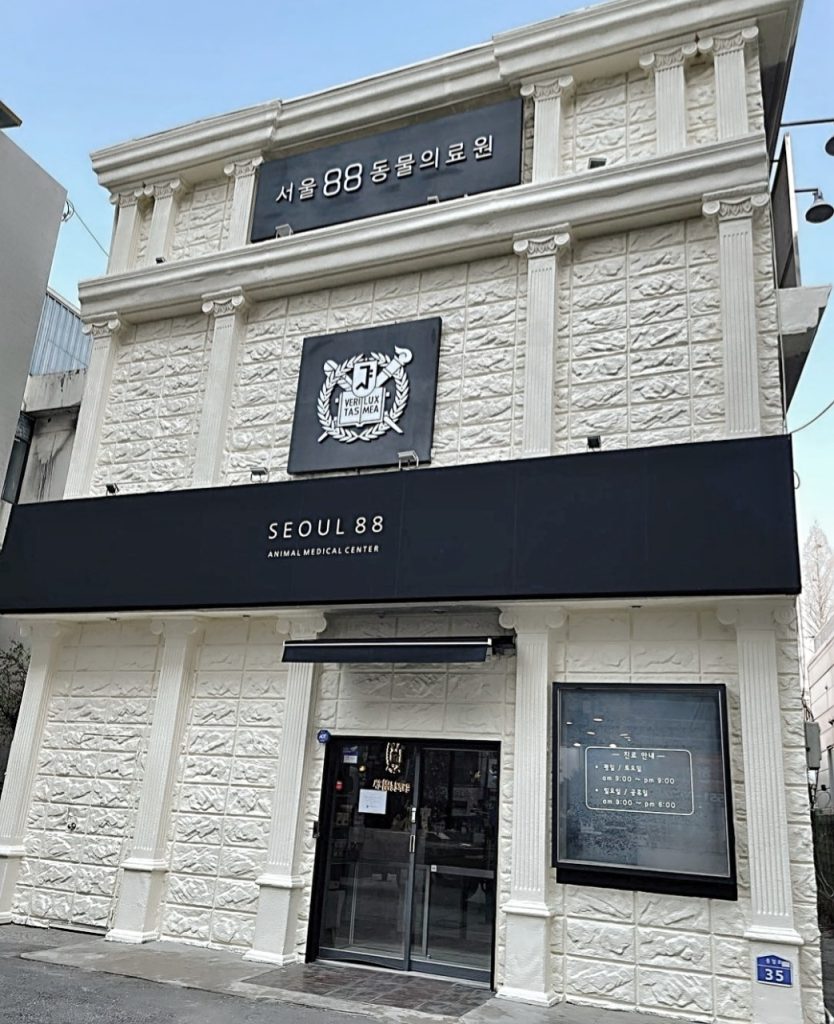 서울88동물의료원 사진 1