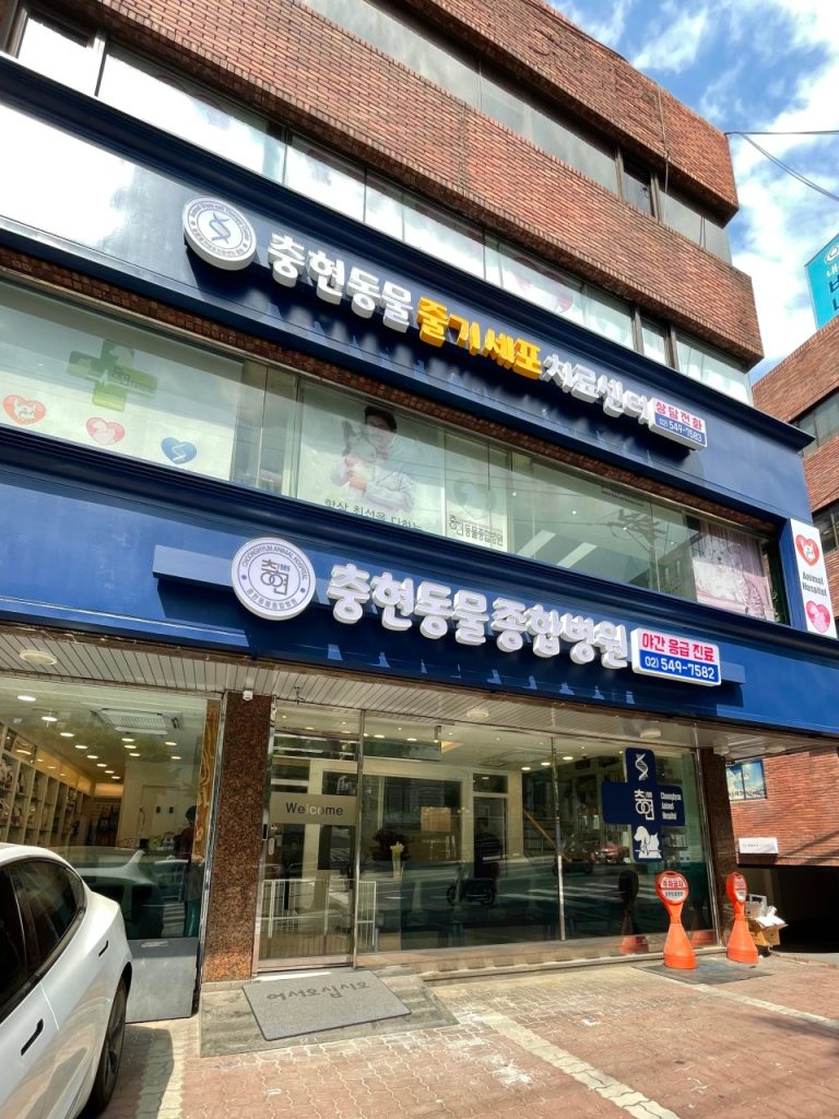 인천동물심장내과 사진 1