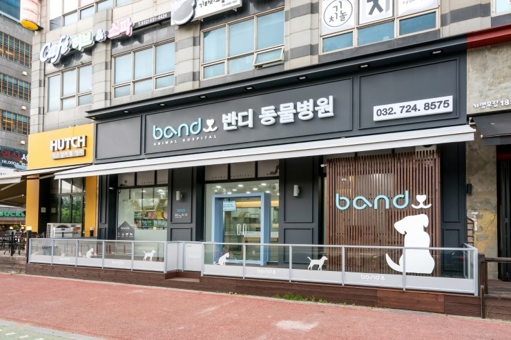 반디동물병원 사진 1