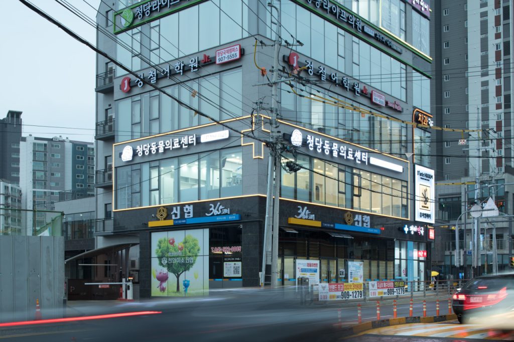청당동물의료센터 사진 1