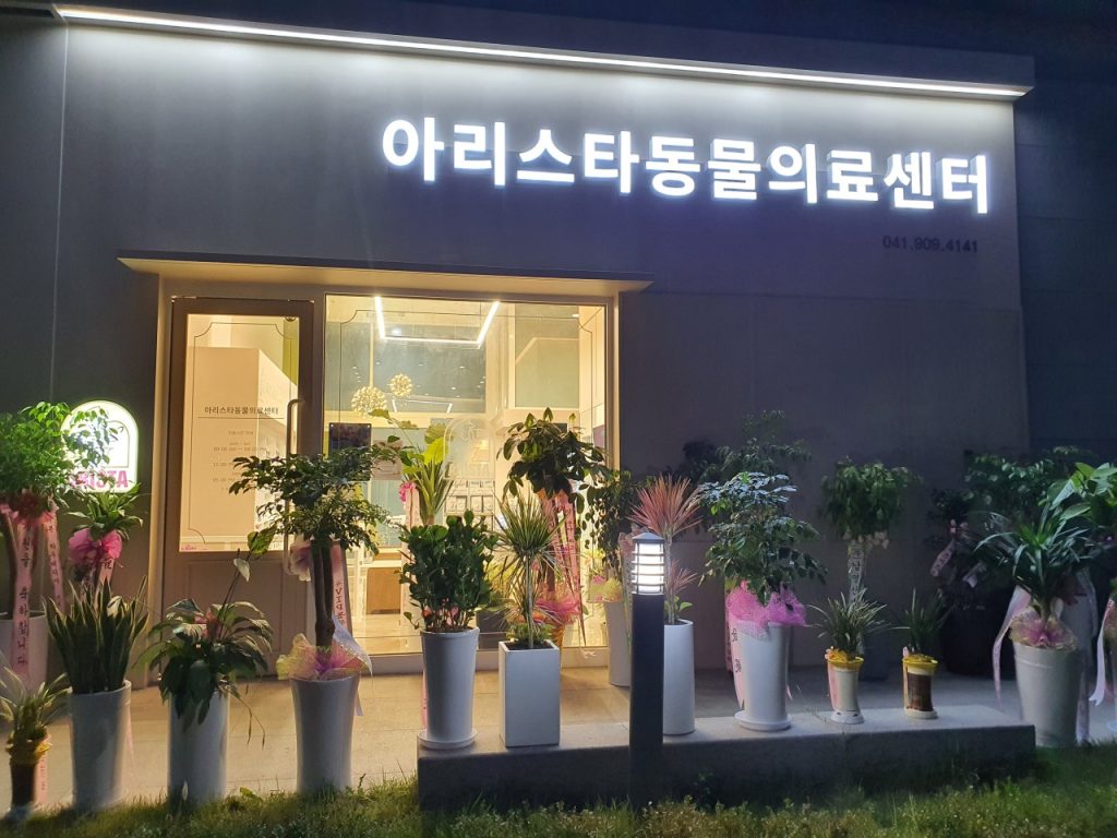 아리스타동물의료센터 사진 1