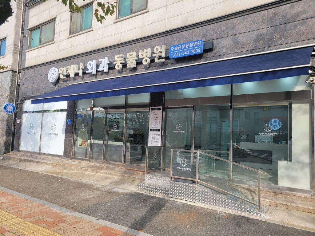 언제나외과동물병원 사진 1