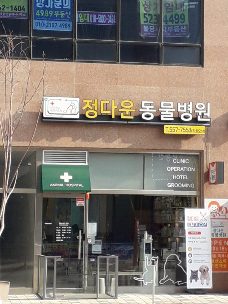 정다운동물병원 사진 1