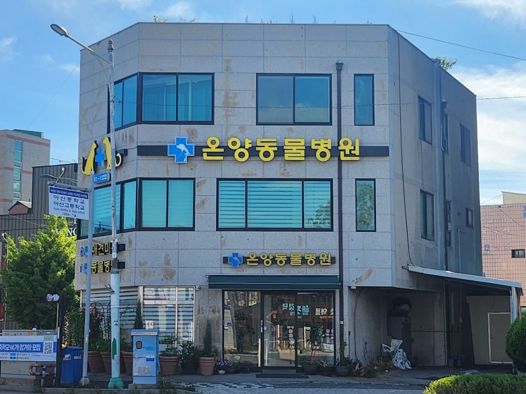 온양동물병원 사진 1