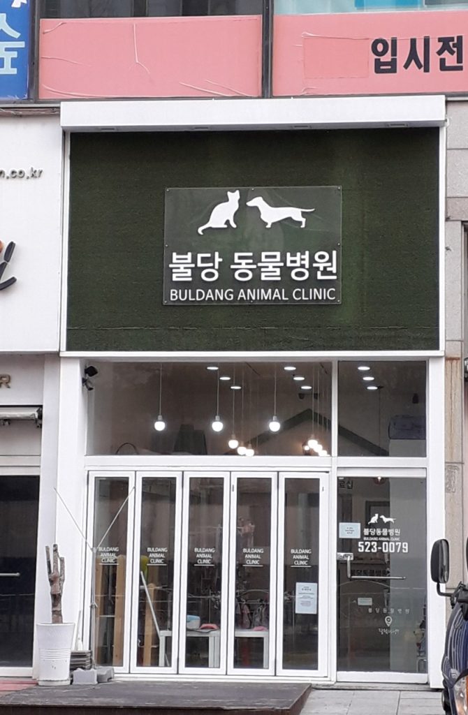 불당동물병원 사진 1