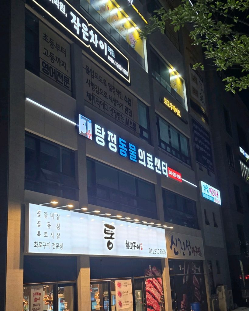 탕정동물의료센터 사진 1