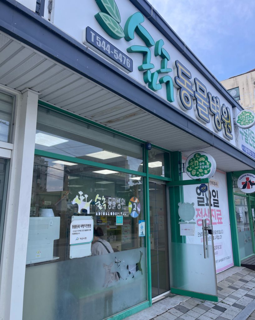 숲속동물병원 사진 1