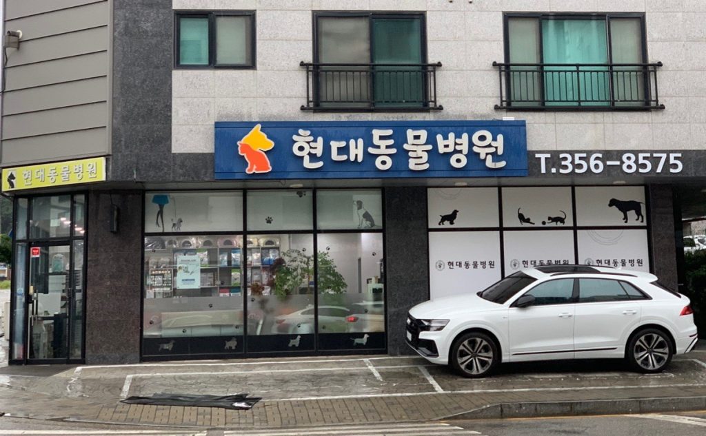 현대동물병원 사진 1