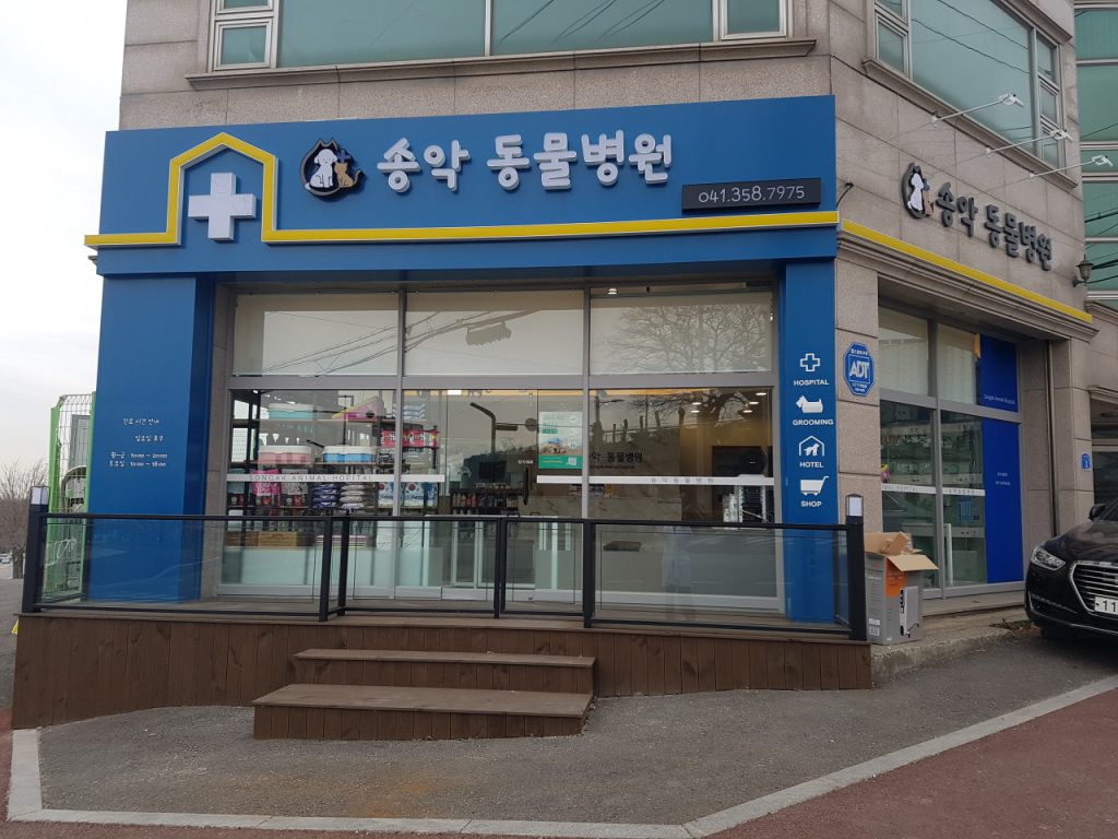 송악동물병원 사진 1