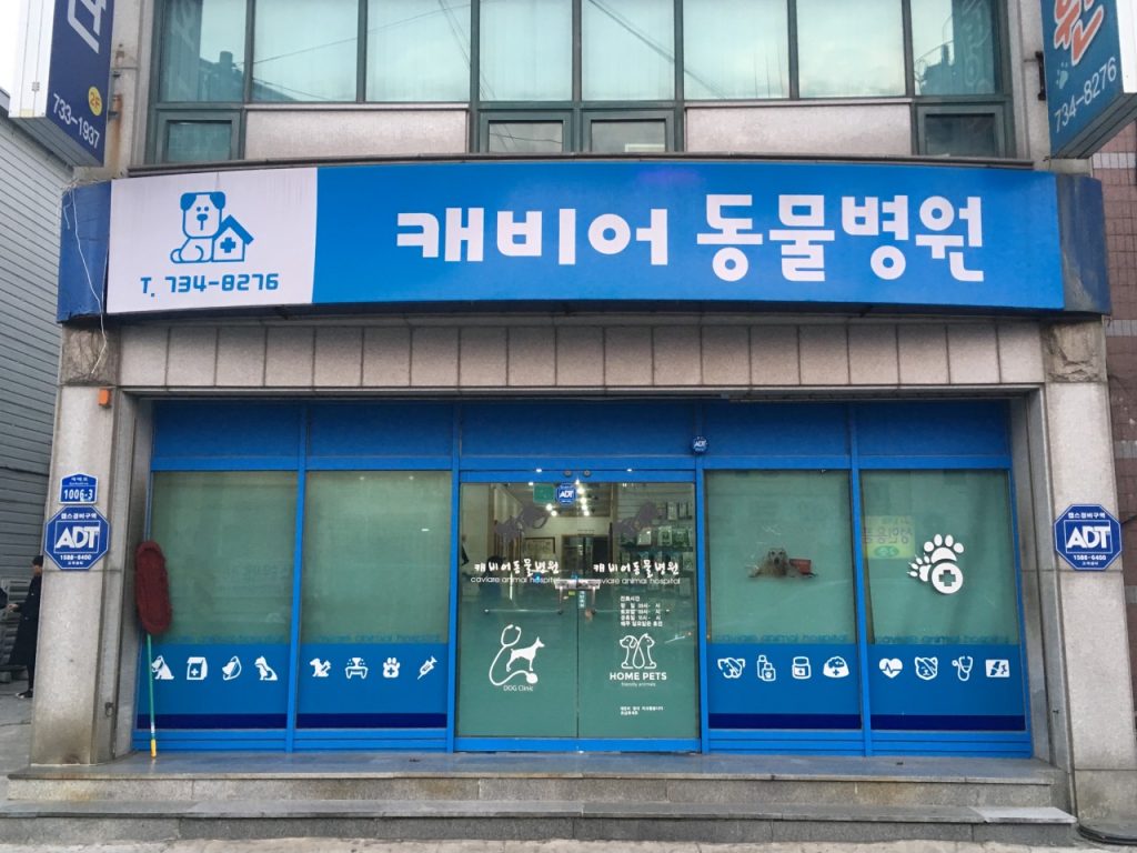 캐비어동물병원 사진 1