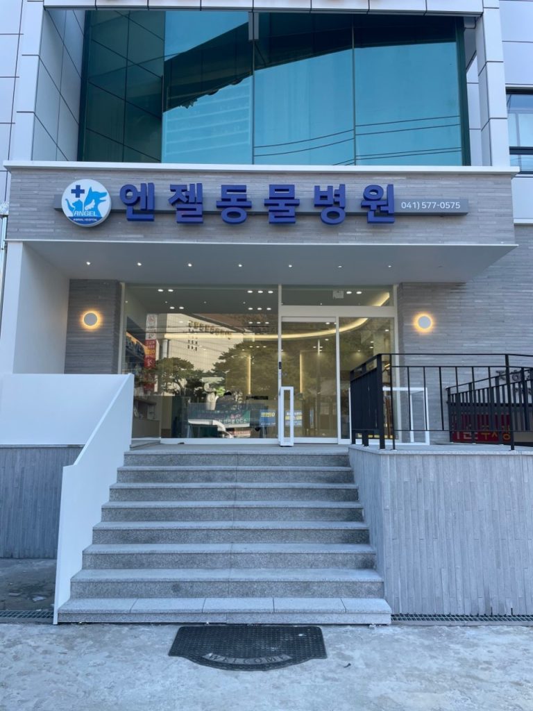 엔젤동물병원 사진 1