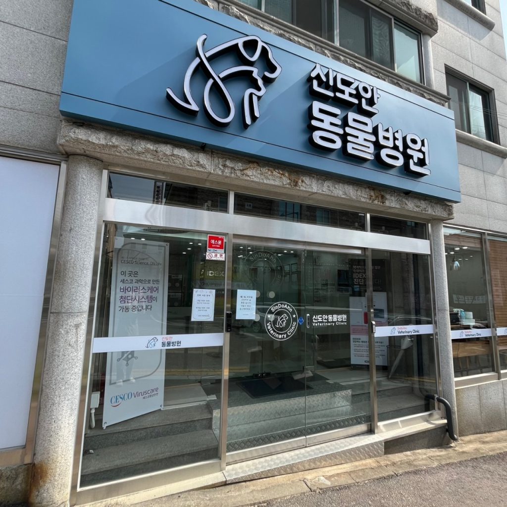 신도안동물병원 사진 1
