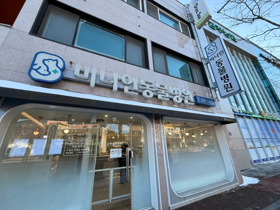 비나인동물병원 사진 1
