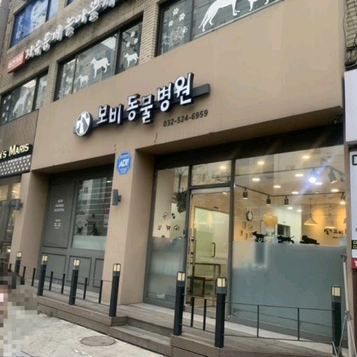 보비동물병원 사진 1