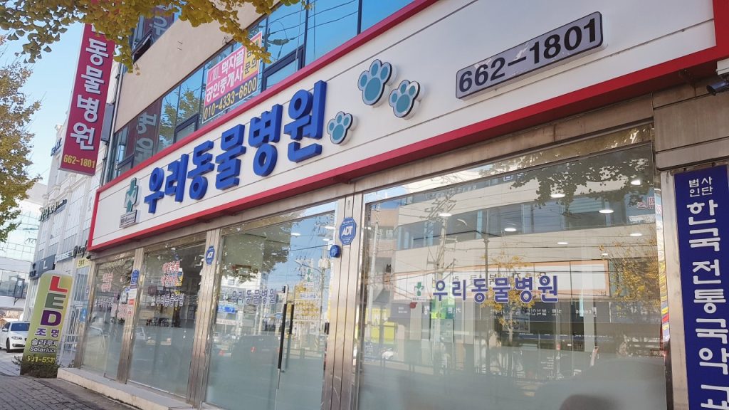 우리동물병원 사진 1