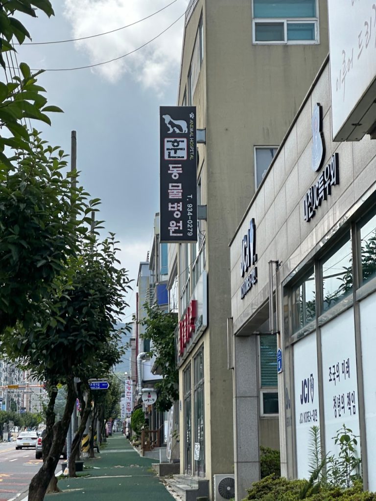 훈동물병원 사진 1