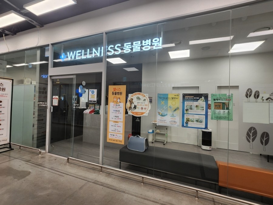 웰니스 동물병원 사진 1