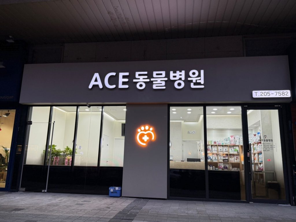 ACE동물병원 사진 1