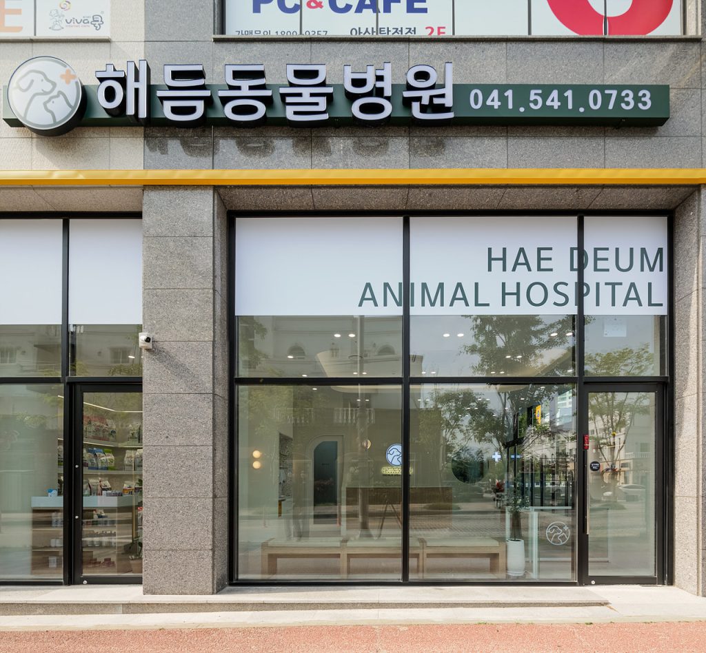 해듬동물병원 사진 1