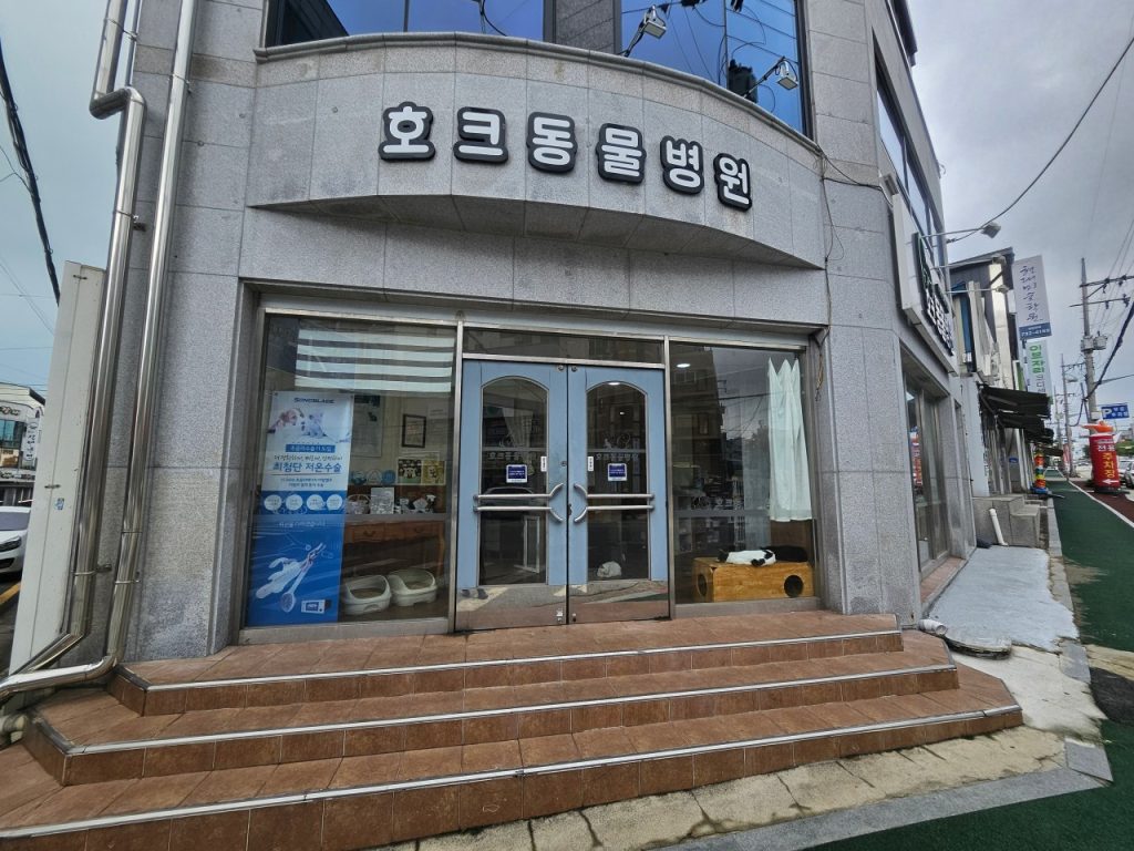 호크종합동물병원 사진 1