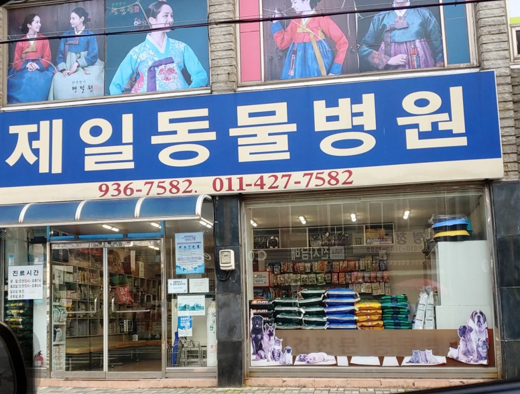 제일동물병원 사진 1