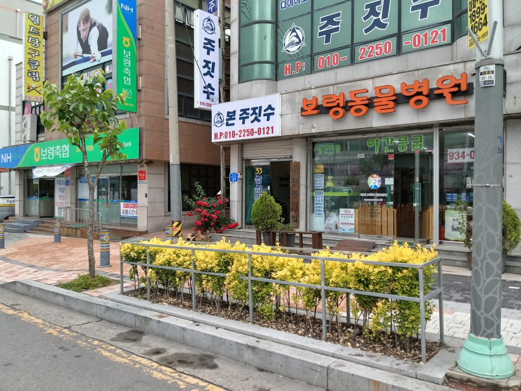 보령동물병원 사진 1