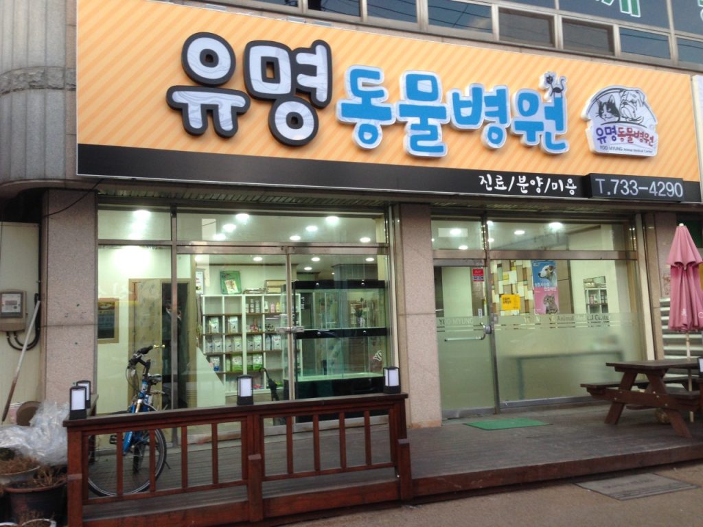 유명동물병원 사진 1